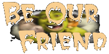 Become a Fan